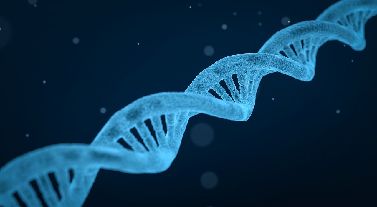 ganliozydoza łańcuch DNA