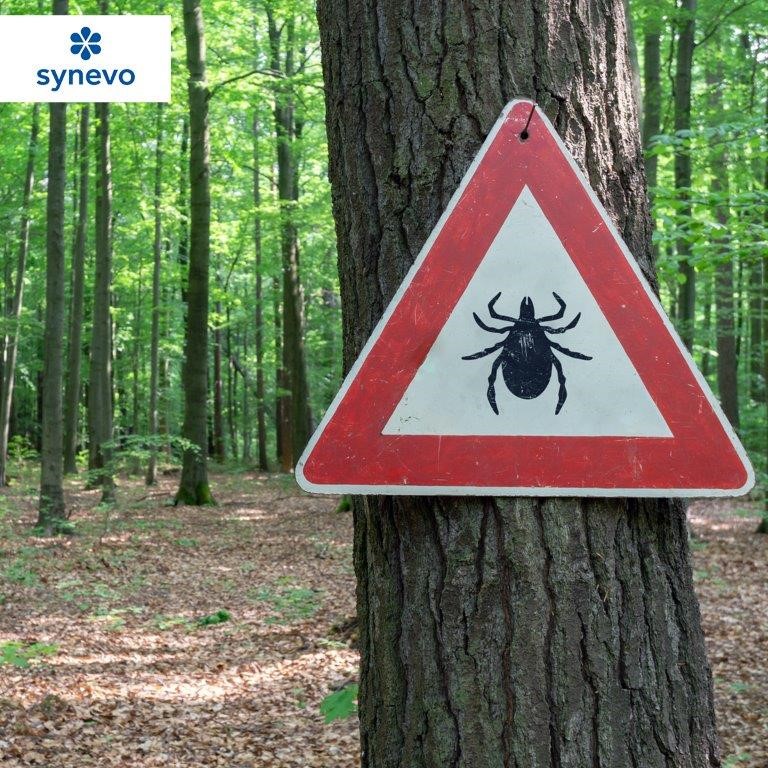 znak ostrzegawczy kleszcze na drzewie