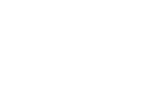 logo synevo fb2 white