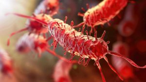 bakteria coli co mi grozi