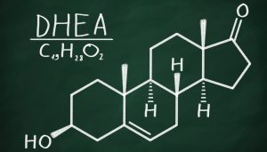 dehydroepiandrosteron-dhea