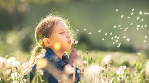 Pakiet badań - alergiczny pediatryczny inhalacyjny/oddechowy (20 alergenów)