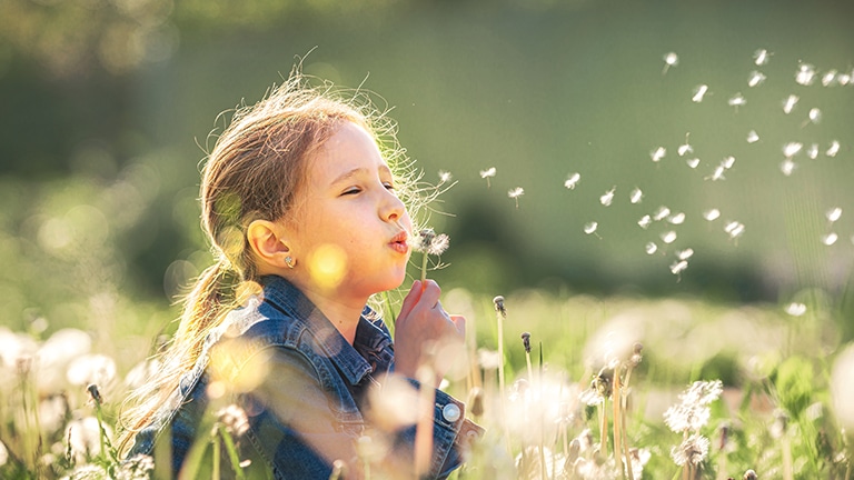 alergiczny pediatryczny inhalacyjny oddechowy 20 alergenów