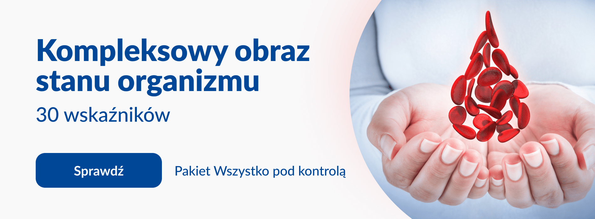 wszystko 1900x700 desktop